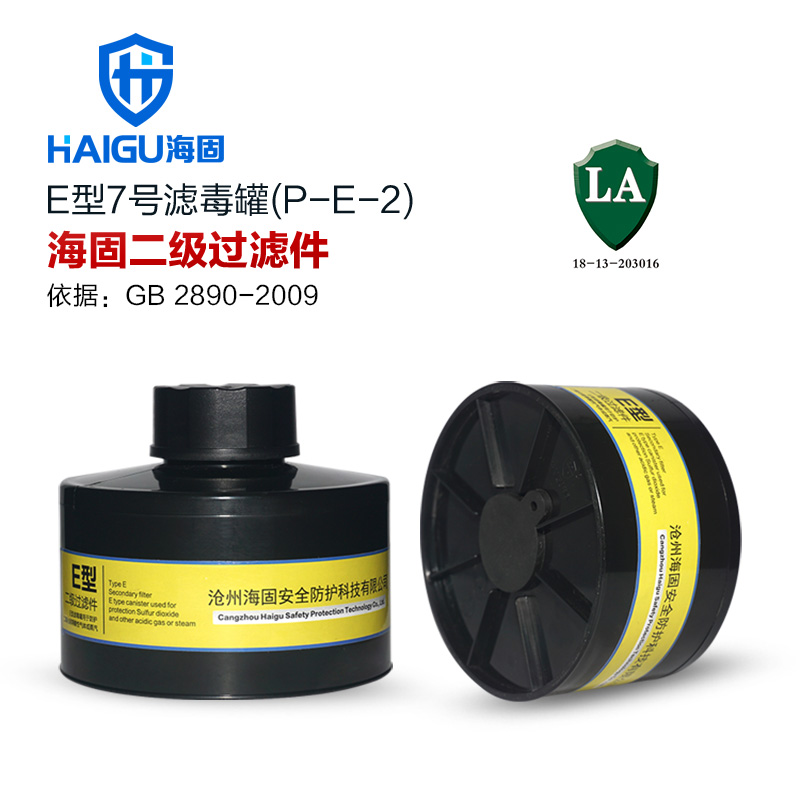 防毒面具 H2S P-A Hg-2 CO 二级滤毒罐集合 4