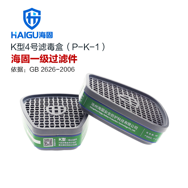 P-A H2S-1防毒气 防尘滤毒盒 Hg 防毒面具8