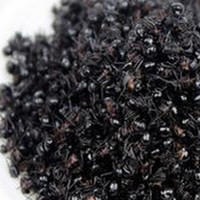 药食同源 大黑蚂蚁价格 野生黑蚂蚁 黑蚂蚁厂家批发
