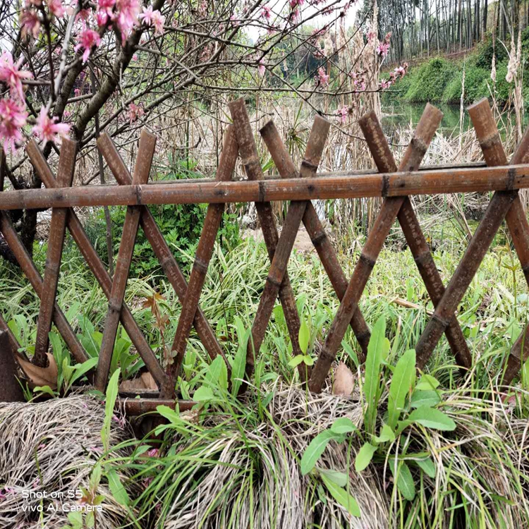 潜山竹围栏 护栏 图片展示 竹子栅栏5
