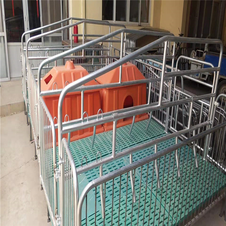 生产销售畜牧 复合板母猪产床 畜牧、养殖业机械 聚安厂家2