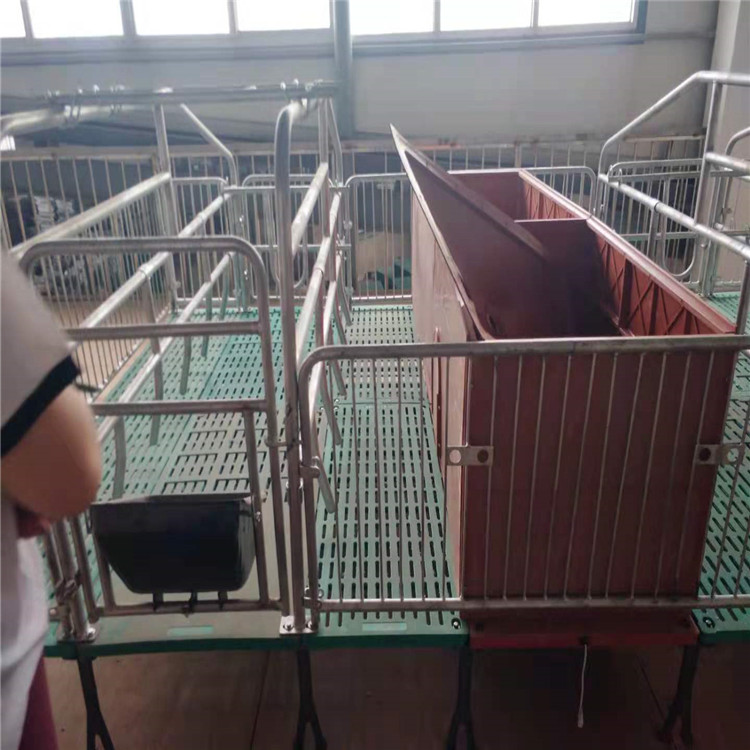 母猪产床 产保一体母猪产床 聚安厂家 畜牧、养殖业机械 畜牧生产1