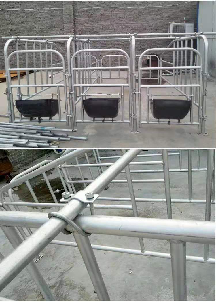 聚安厂家 畜牧、养殖业机械 猪用定位栏 全复合定位栏 批发生产