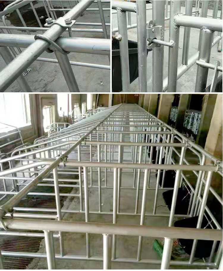 聚安厂家 畜牧、养殖业机械 猪用定位栏 全复合定位栏 批发生产4