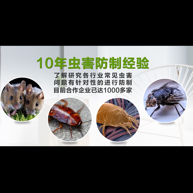 灭虫害 专业杀虫公司价格 广州杀虫公司 办公室杀虫