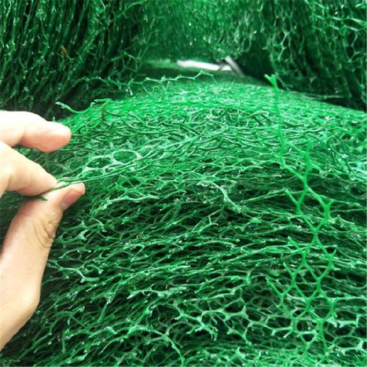 塑料三维植被网 绿色三维植被网 高品质三维植被网 质优价廉 联谊厂家承接批发2