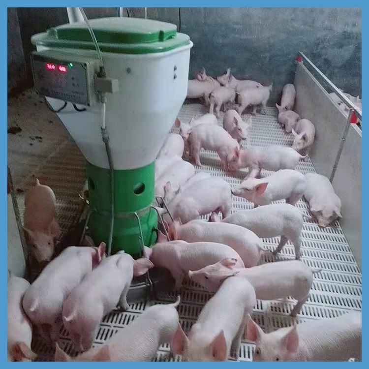 畜牧、养殖业机械 欧式保育栏 产仔猪用产床 牧润农牧 复合小猪保育栏