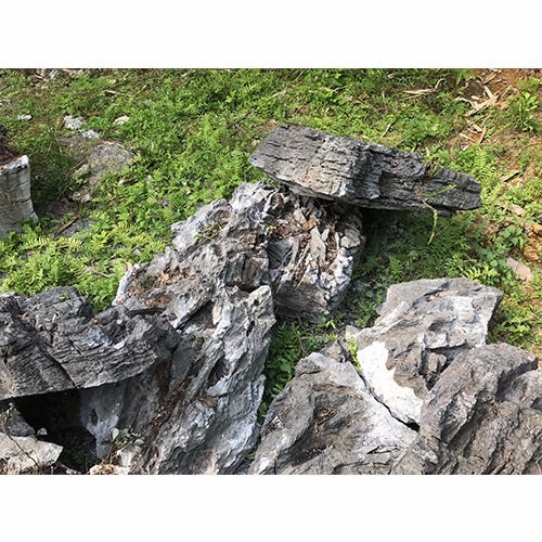 大英石造景石头 英德石产地直销 英石奇石花园摆件石头 灰色假山石9