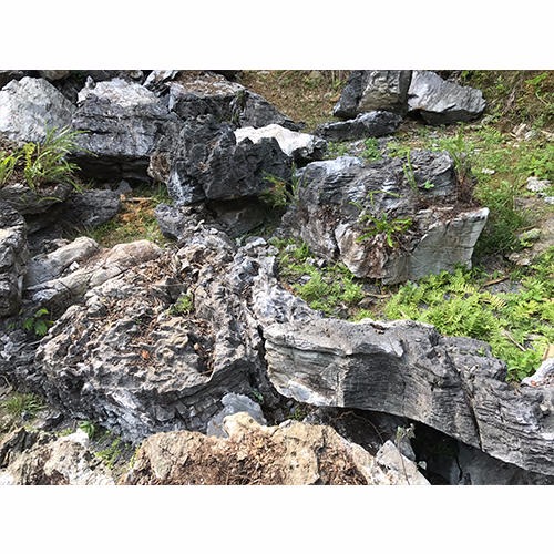 大英石造景石头 英德石产地直销 英石奇石花园摆件石头 灰色假山石4