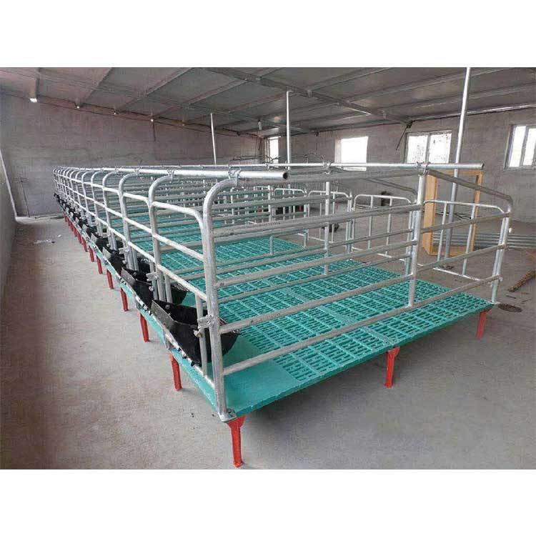 畜牧、养殖业机械 猪场限位栏-科牧华养殖设备5