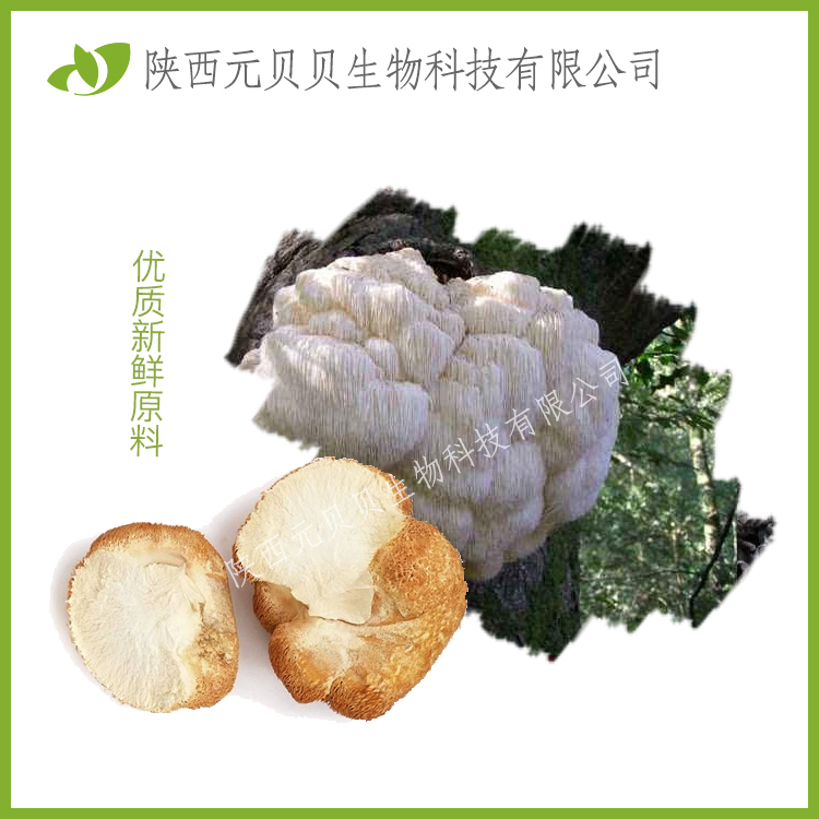 SC源头厂家直供质量保证包邮 壹贝子猴头菇提取物 猴头菇多糖30%1