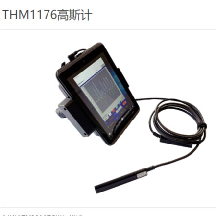 其他环境检测仪器 THM1176高斯计