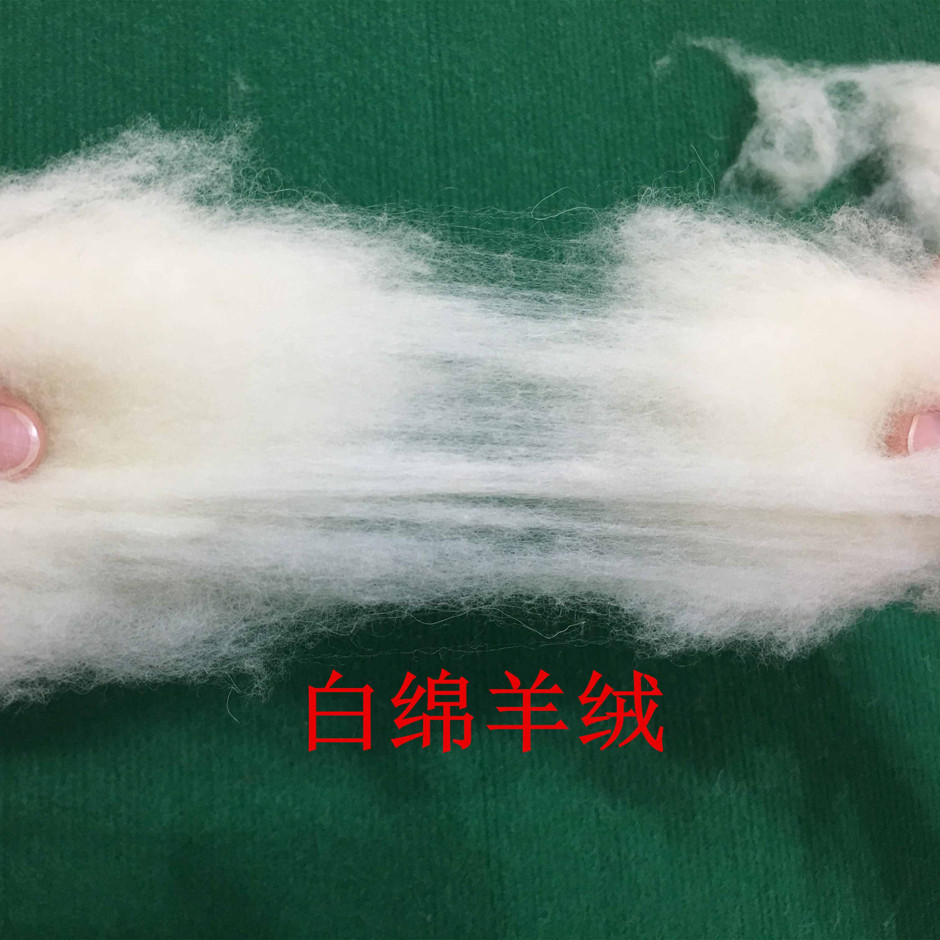 羊毛原料 面料填充物 厂家直销羊毛纺织原料 纺纱 绵羊毛2