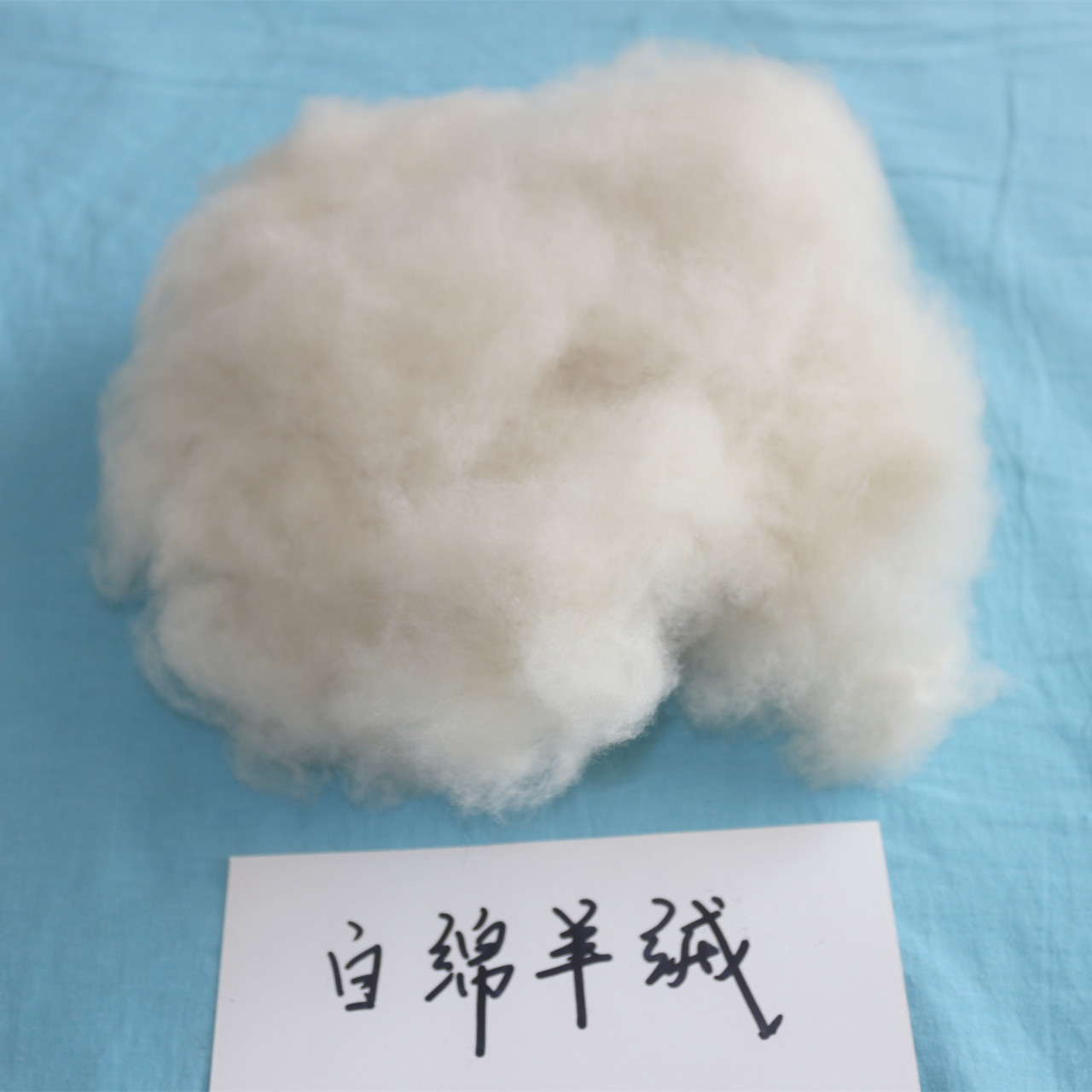 羊毛原料 面料填充物 厂家直销羊毛纺织原料 纺纱 绵羊毛1