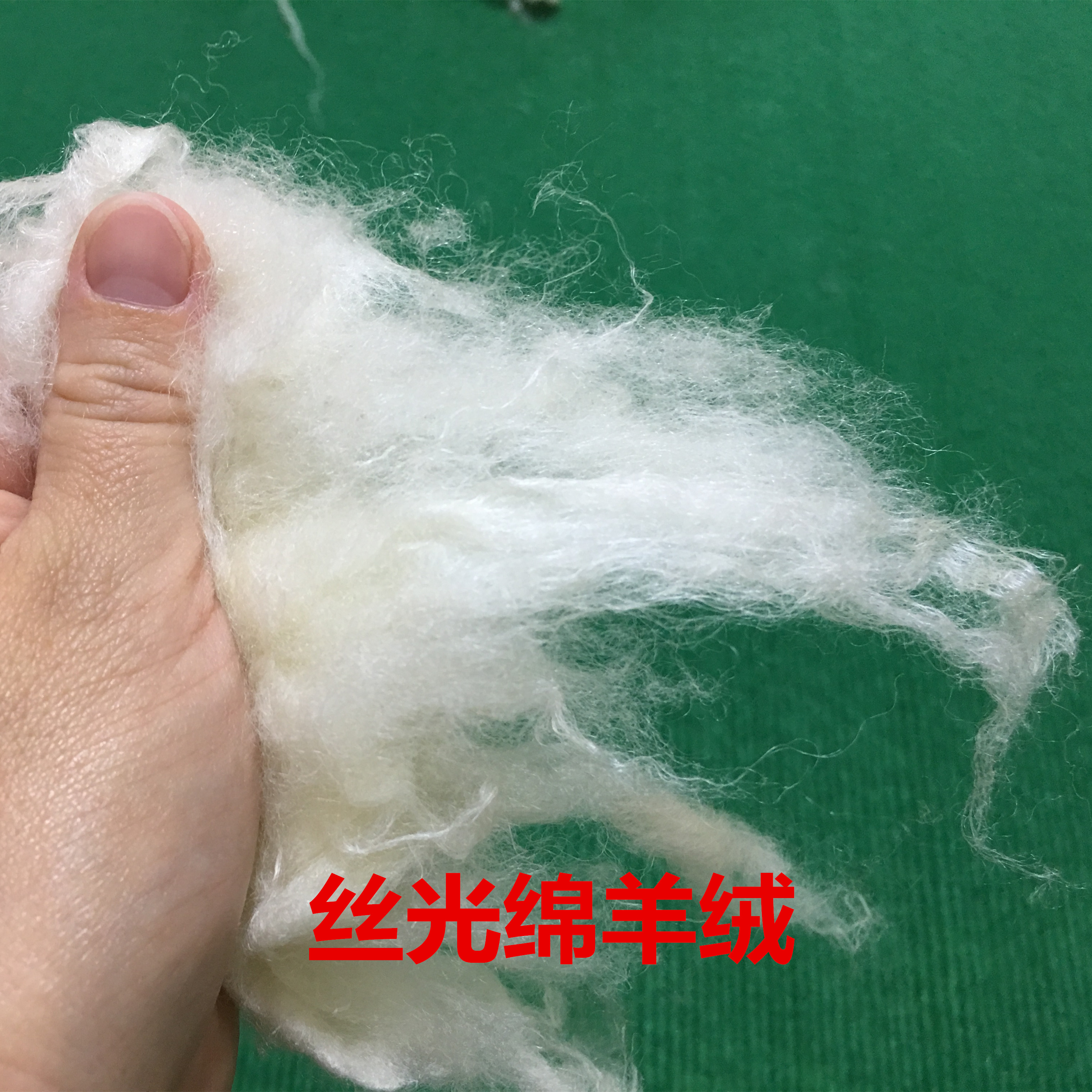 无毛绒 丝光绵羊绒 源头工厂 底价直销白绵羊绒 被服填充物4