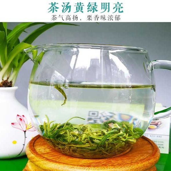2021浓香型新茶毛峰贵州茶叶嫩芽去或正宗绿茶100g250g500g3