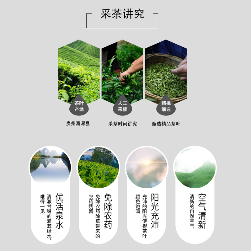 2021贵州毛尖小罐茶罐装绿茶遵义纯手工采摘高山云雾绿茶125g装3