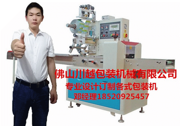 川越CY-250面包自动充气包装机械厂家型号价格参数咨询1