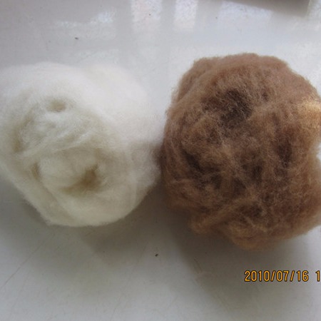 原料 牦牛绒 直销可免费拿样包邮 驼绒 绵羊绒 高端羊绒精品 山羊绒原料1