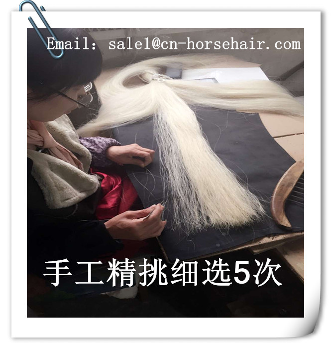 供应做假发用的马尾毛 其他纺织、皮革5