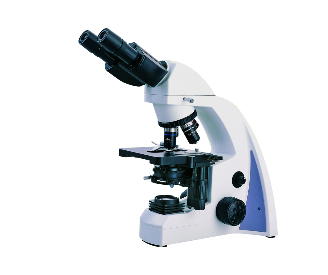 AX-500 济南威诺 双目显微镜