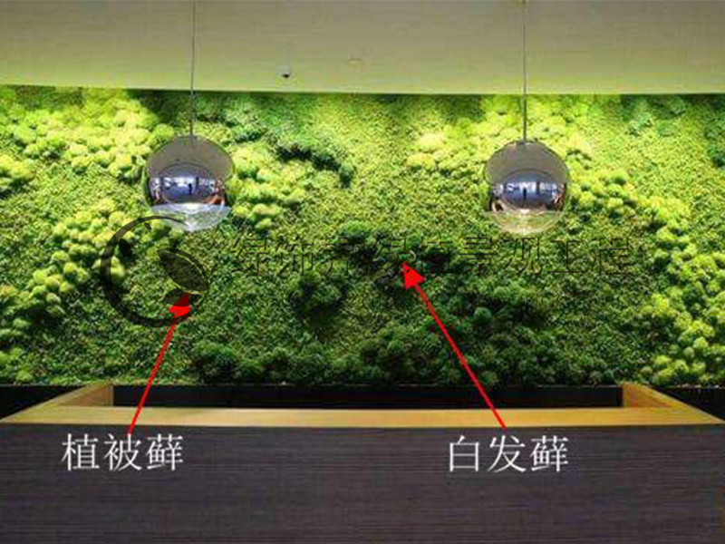 沈阳仿真植物墙生态植物墙品牌直销5