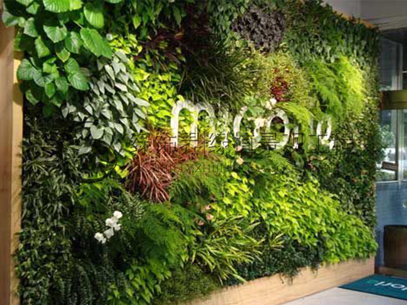 仿真植物 沈阳商场垂直绿化植物墙款式新颖3