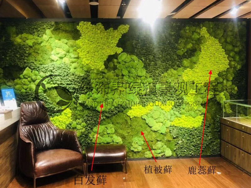 仿真植物 沈阳商场垂直绿化植物墙款式新颖5