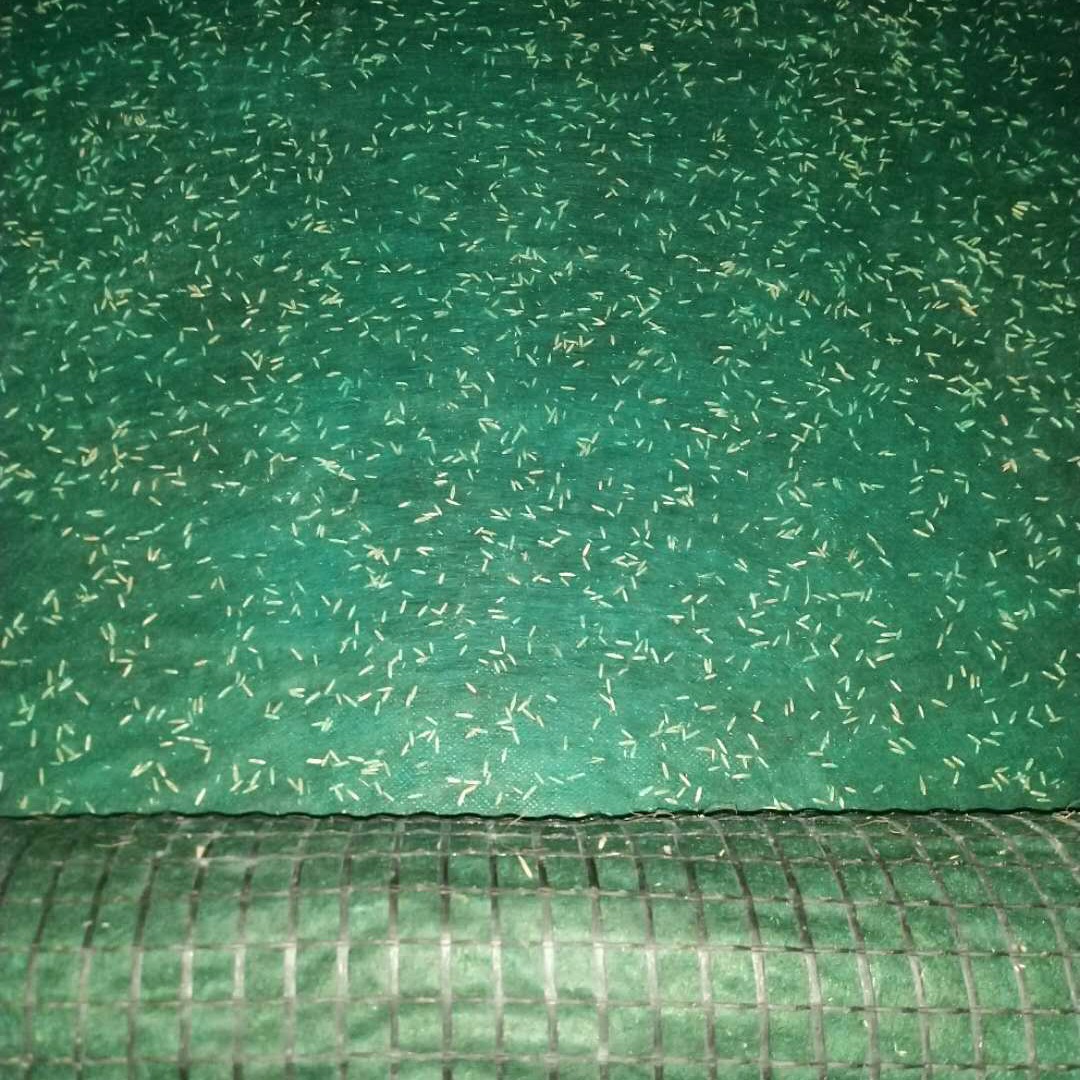 山清水秀毯 品质可靠 护坡抗冲生态毯价格 欢迎订购 潍坊绿源厂家直销 抗冲生物毯