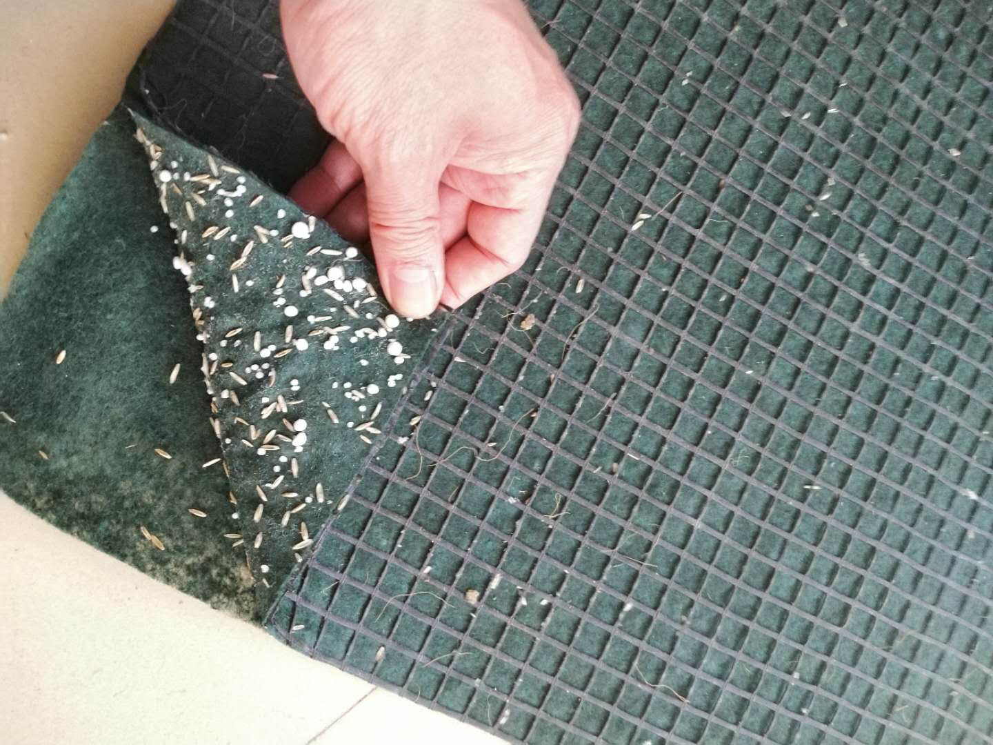 山清水秀毯 品质可靠 护坡抗冲生态毯价格 欢迎订购 潍坊绿源厂家直销 抗冲生物毯7