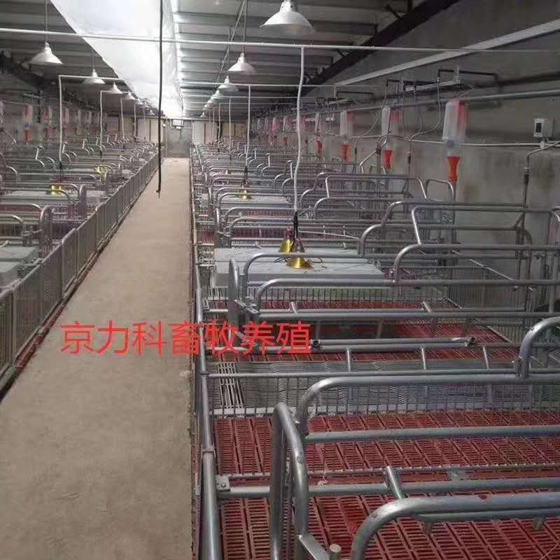 畜牧、养殖业机械 价格优惠 京力科畜牧设备 养猪设备 猪场自动化料线