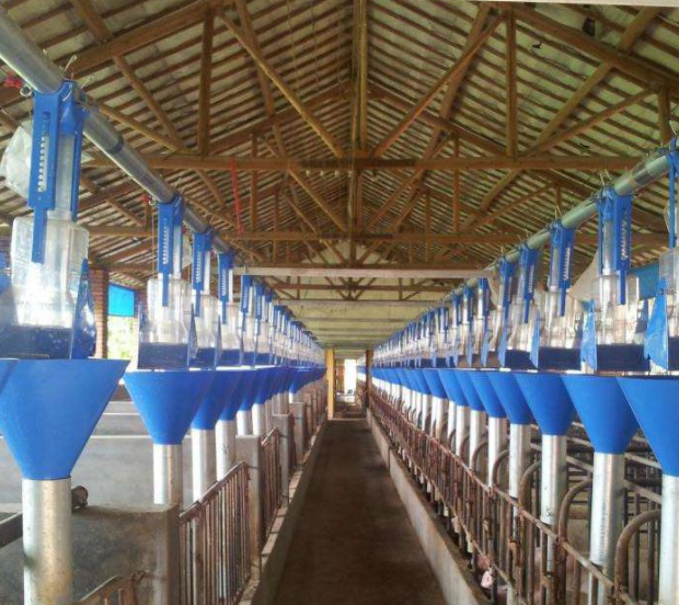 畜牧、养殖业机械 价格优惠 京力科畜牧设备 养猪设备 猪场自动化料线1