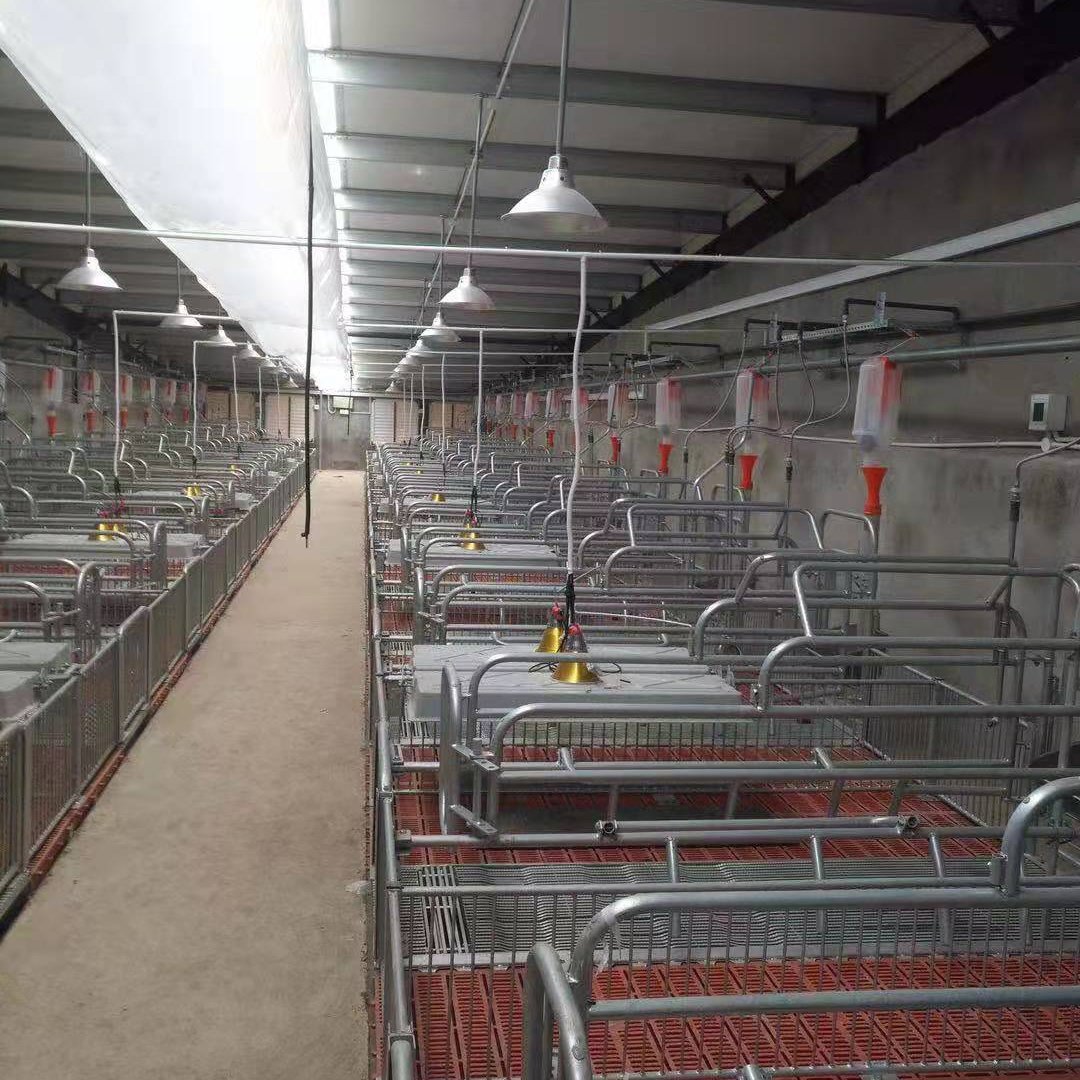 自动料线 猪场专用料线 京力科 养猪设备料线 厂家直销 养猪自动料线