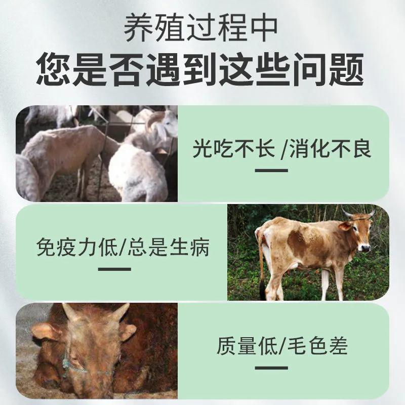 农大金牧源牛壮羊肥兽用牛羊专用拉大骨架催肥增重快速出栏添加剂3
