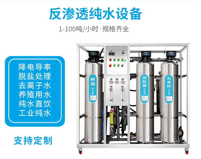 廊坊0.5t 高纯水制取设备 h过滤设备 高纯水设备厂家直销1