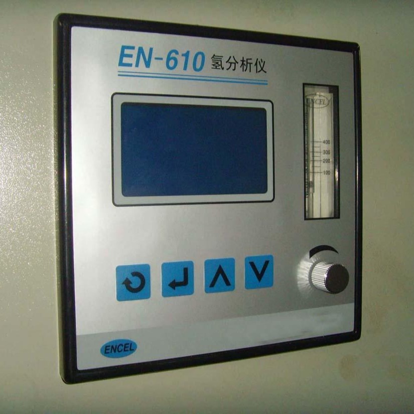 供应EN610氢分析仪 氧气检测仪