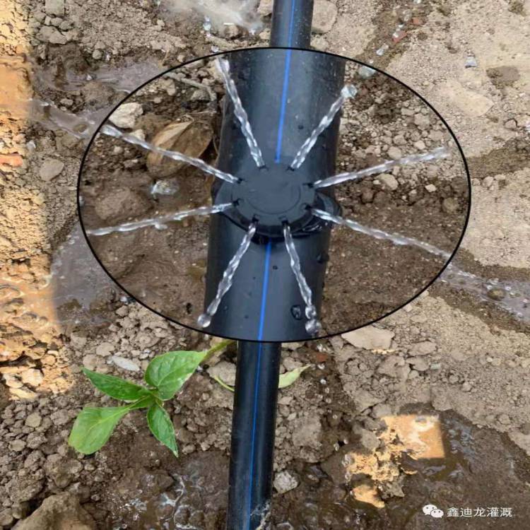 鑫迪龙果树小管出流八孔滴头的介绍 灌溉工具1