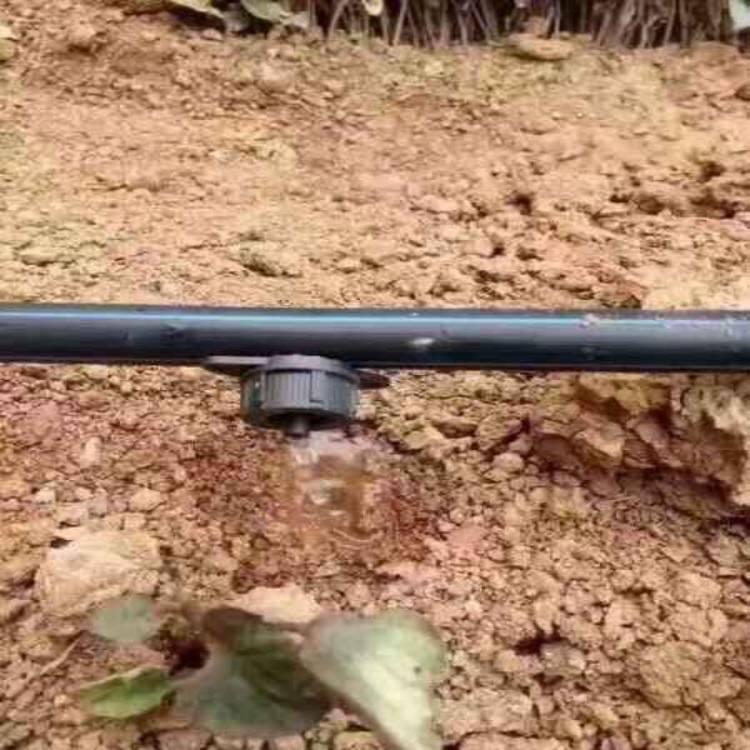 鑫迪龙果树小管出流压力补偿式滴头技术 灌溉工具2