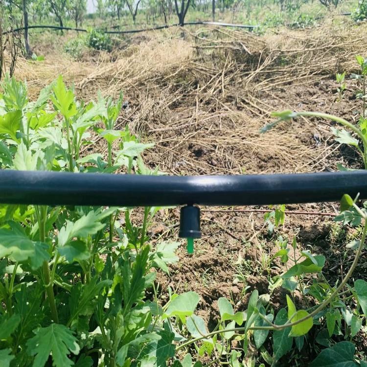 灌溉工具 农业灌溉紊流器鑫迪龙果树蔬菜灌溉紊流器