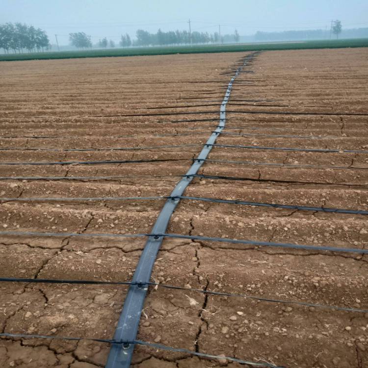灌溉工具 鑫迪龙蔬菜水肥一体化滴灌带厂家2
