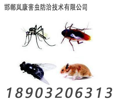 邯郸酒店灭鼠杀虫 超市灭鼠 食品厂灭鼠杀虫 家政服务2