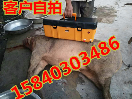 买野猪捕捉器到厂家常年保修 萍乡打 器厂家直销 生产厂家销售各种型号的1
