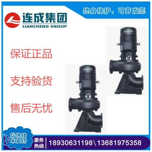 干式泵 城市杂质泵分公司电话 污水泵 200WL400-40-75 供应上海连成立式排污水泵WL型2