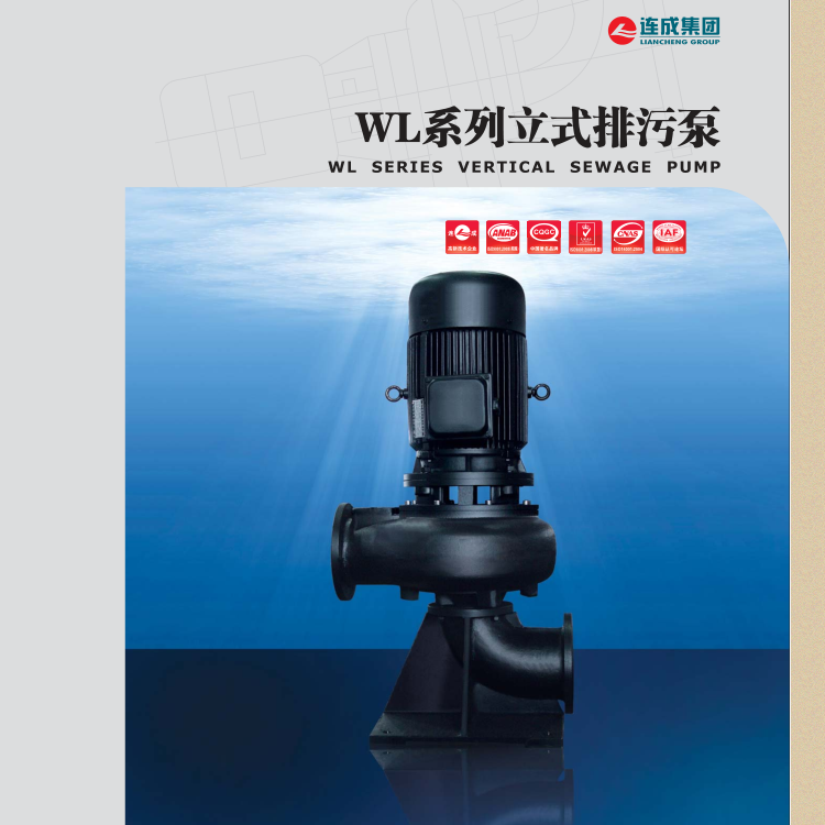 干式泵 城市杂质泵分公司电话 污水泵 200WL400-40-75 供应上海连成立式排污水泵WL型1