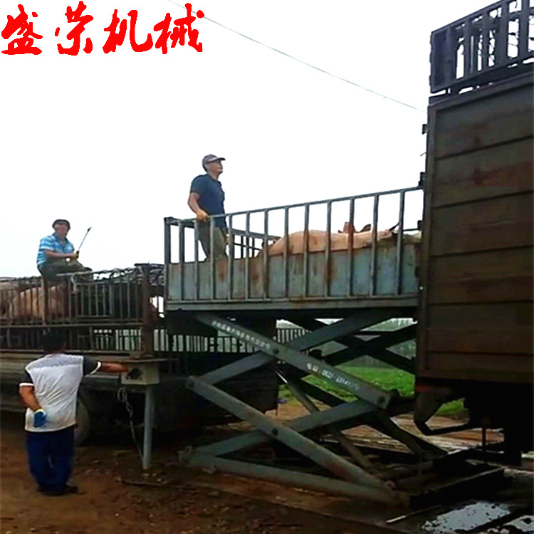 养猪场必备装卸台 固定式 移动式卸猪台 来电定做特殊升降台盛荣SJY3-3.2 装猪台1