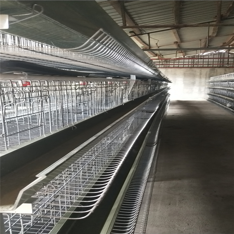 养白羽鸡的热镀锌阶梯式鸡笼 畜牧、养殖业机械7