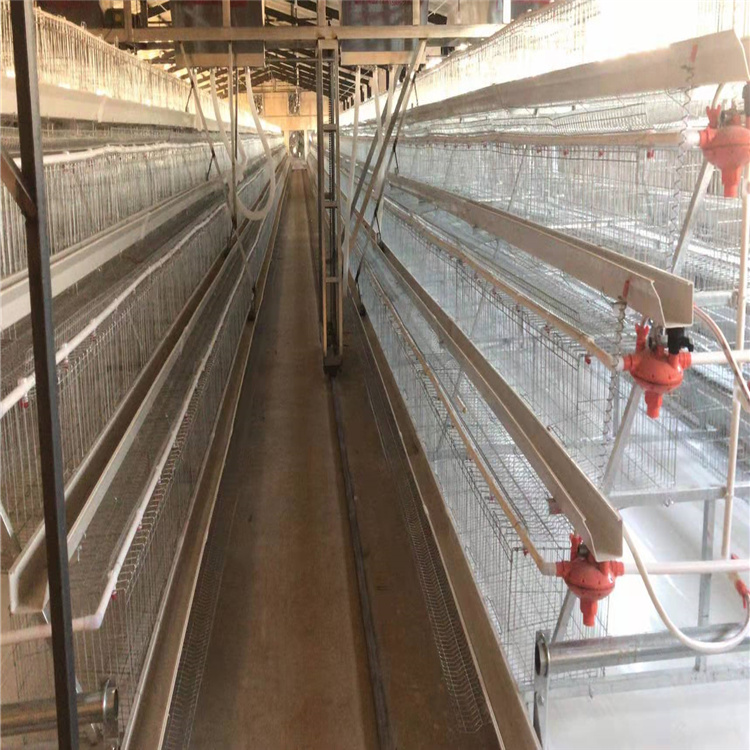 畜牧、养殖业机械 阶梯式镀锌四层蛋鸡笼3
