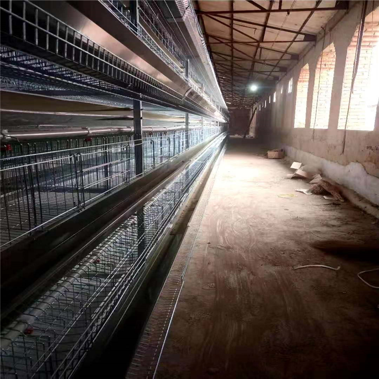 养白羽鸡的热镀锌阶梯式鸡笼 畜牧、养殖业机械2