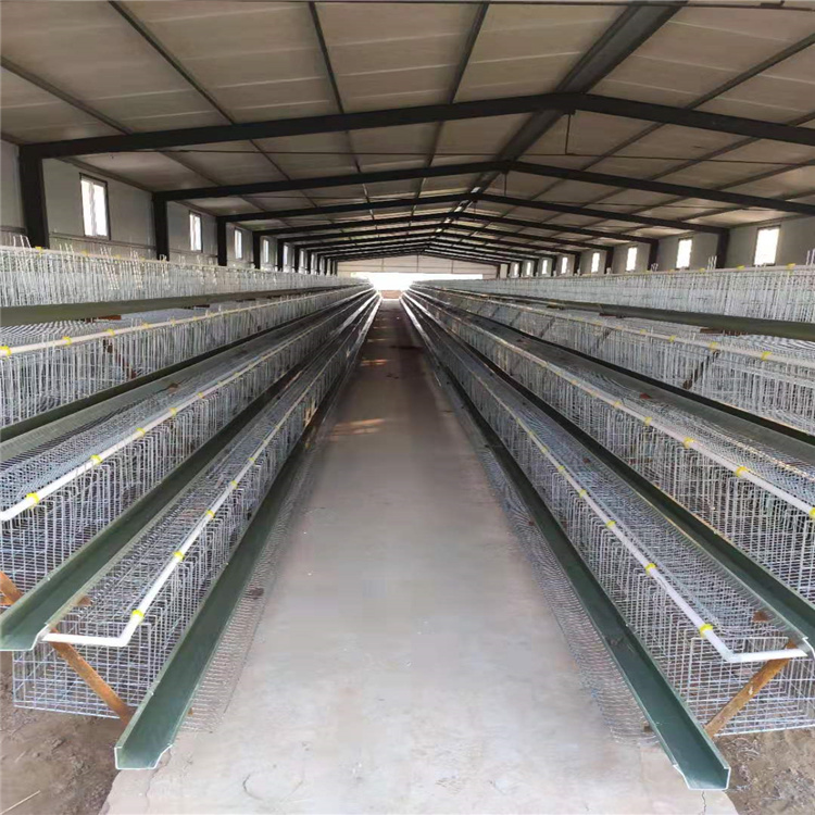 畜牧、养殖业机械 阶梯式镀锌四层蛋鸡笼4