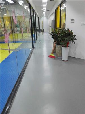 正蓝塑胶地板价格 幼儿园地板生产厂家 其他地板 图片1